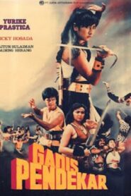 Warrior Girl 1990 one on netflix