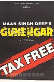 Gunehgar 1995 one on netflix
