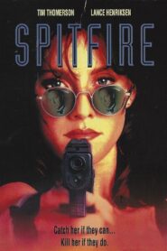 Spitfire 1995 one on netflix