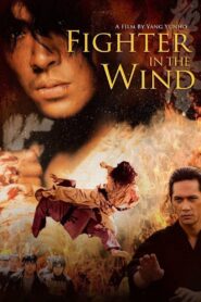 Fighter in the Wind 2004 one on netflix