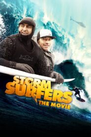 Storm Surfers 2012 one on netflix