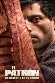The Boss: Anatomy of a Crime 2014 one on netflix