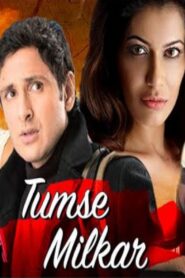 Tumse Milkar 2010 one on netflix