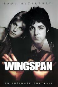 Wingspan 2001 one on netflix