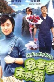 My Pretty Wife 2003 one on netflix