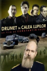 Drumeț în calea lupilor 1990 one on netflix