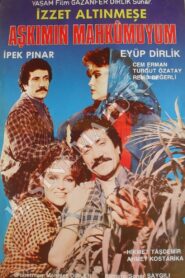 Aşkımın Mahkumuyum 1988 one on netflix