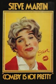 Steve Martin: Comedy Is Not Pretty 1980 one on netflix