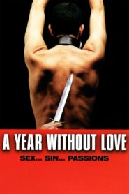 A Year Without Love 2005 one on netflix