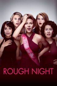 Rough Night 2017 one on netflix