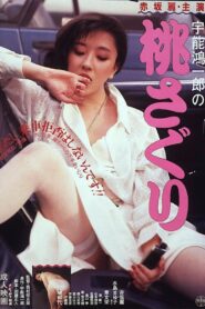 Uno Koichiro no momosaguri 1985 one on netflix