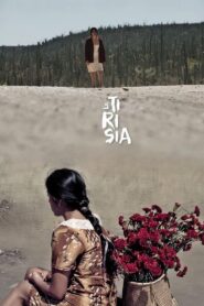 Perpetual Sadness 2014 one on netflix