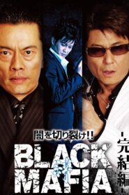 Black Mafia 2008 one on netflix