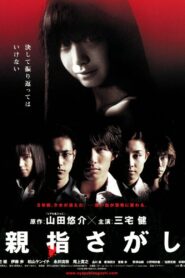 Vanished 2006 one on netflix