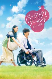 Perfect World 2018 one on netflix