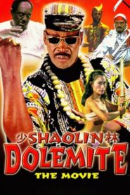 Shaolin Dolemite 1999 one on netflix