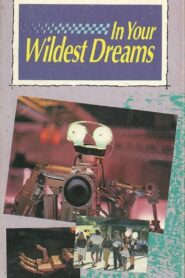 In Your Wildest Dreams 1991 one on netflix