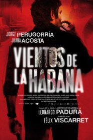 Winds of Havana 2016 one on netflix