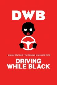 Driving While Black 2015 one on netflix