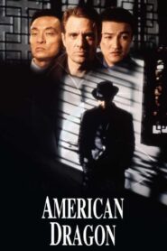American Dragons 1998 one on netflix
