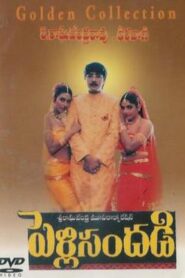 Pelli Sandadi 1996 one on netflix