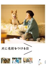 Dogs Without Names 2015 one on netflix