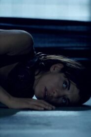 Echo 2007 one on netflix