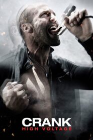 Crank: High Voltage 2009 one on netflix