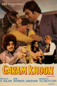 Garam Khoon 1980 one on netflix
