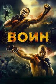 Warrior 2015 one on netflix
