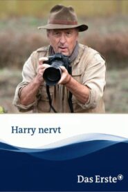 Harry nervt 2013 one on netflix