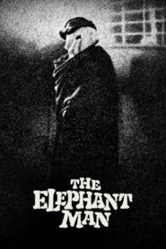 The Elephant Man 1980 one on netflix