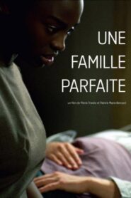 Une famille parfaite 2006 one on netflix