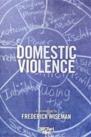 Domestic Violence 2001 one on netflix