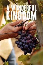 A Wonderful Kingdom 2021 one on netflix