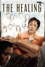 The Healing 2012 one on netflix