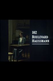 102 Boulevard Haussmann 1990 one on netflix