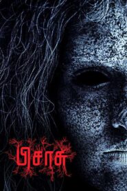 Pisaasu 2014 one on netflix
