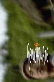 Reincarnate 2010 one on netflix