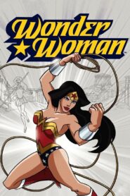 Wonder Woman 2009 one on netflix
