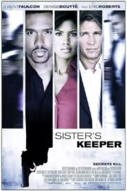 Sister’s Keeper 2007 one on netflix