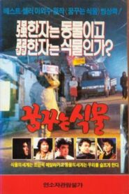 Dreaming Plant 1990 one on netflix