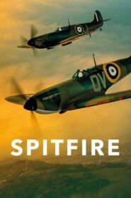 Spitfire 2018 one on netflix