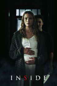 Inside 2016 one on netflix