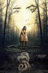 Neeli 2018 one on netflix