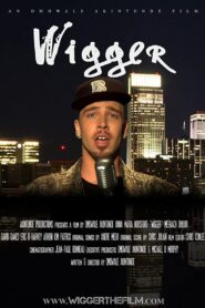 Wigger 2010 one on netflix