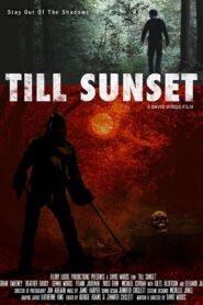 Till Sunset 2012 one on netflix