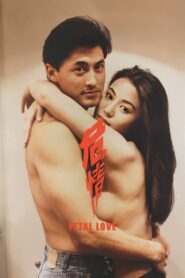 Fatal Love 1993 one on netflix
