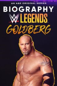 Biography: Goldberg 2022 one on netflix