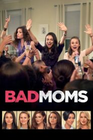 Bad Moms 2016 one on netflix